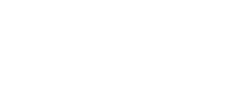 TRUE NORTH STRONG & SAVOURY (1)